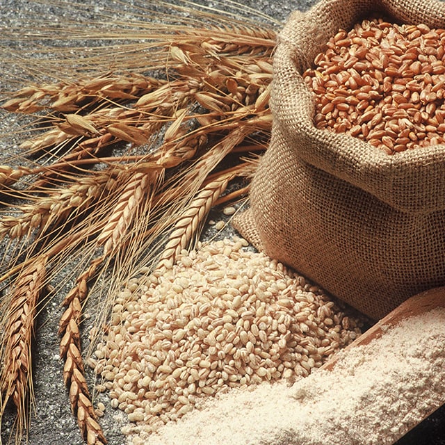 Helping Guests Manage Celiac Disease