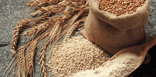 Helping Guests Manage Celiac Disease