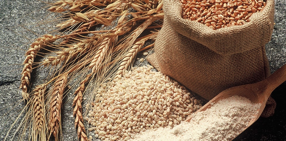 Helping Guests Manage Celiac Disease