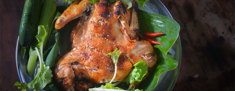 Roasted Chicken on a bed of salad leaves Roasted Chicken on a bed of salad leaves