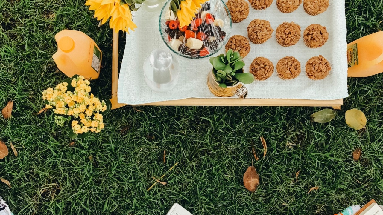 picnic on the grass with muffins fruit salad and orange juice picnic on the grass with muffins fruit salad and orange juice