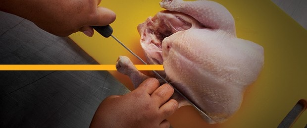 Raw chicken being prepared and cut. Raw chicken being prepared and cut.