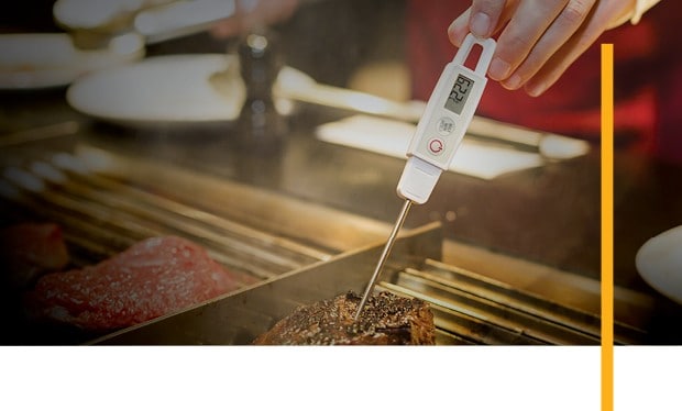 Checking a cooked meats temparature Checking a cooked meats temparature