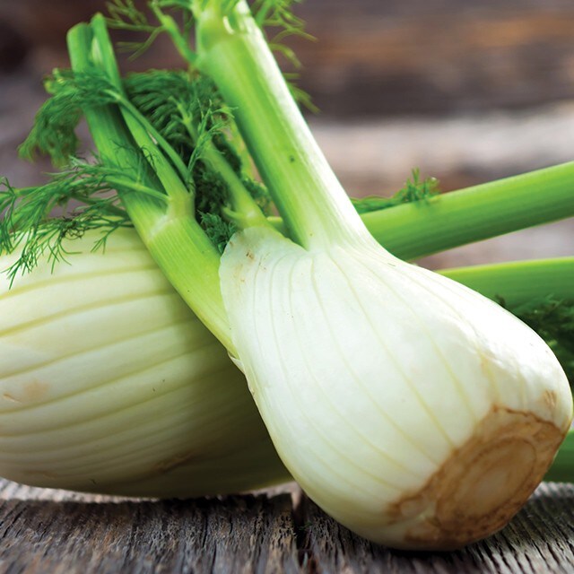 Two Plant-Based Ingredients to Try This Winter Two Plant-Based Ingredients to Try This Winter