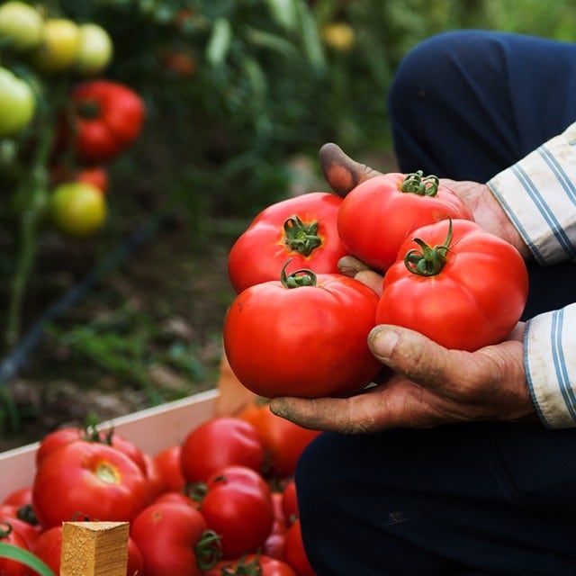 The delicious & nutritous benefits of plant-based eating