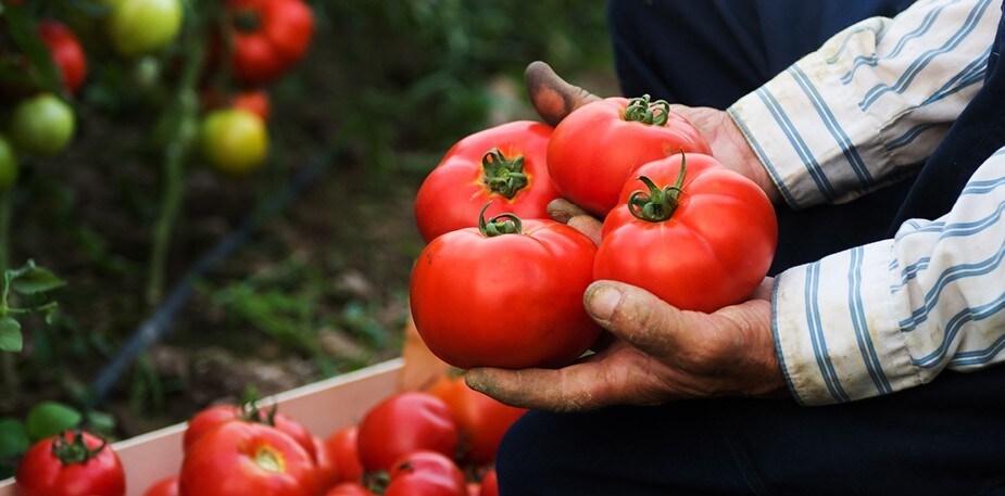 The delicious & nutritous benefits of plant-based eating