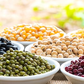 Beans & Legumes Beans & Legumes