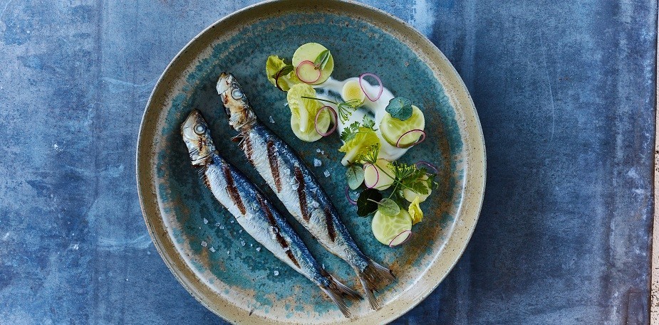 Why Fish Is Everywhere