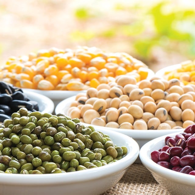 Reviving the Original Cuisine of Indigenous America