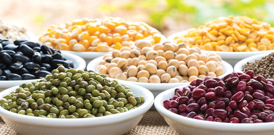 Reviving the Original Cuisine of Indigenous America