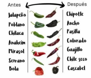 Chiles Chart Chiles Chart