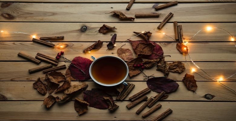 Seasonal Ingredients - cinnamon Seasonal Ingredients - cinnamon