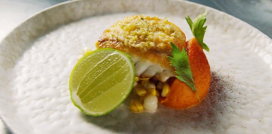 Tour Of Baja Video Preview