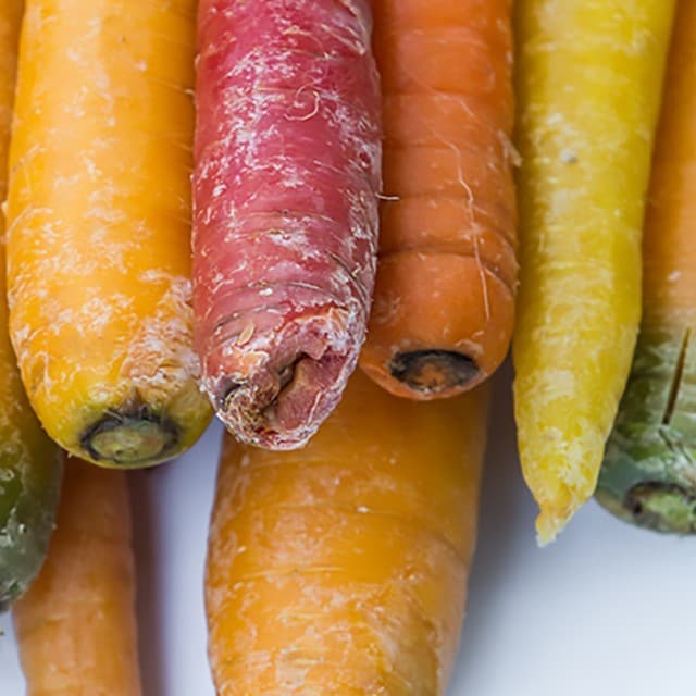 Gourmet Cooking Mastery