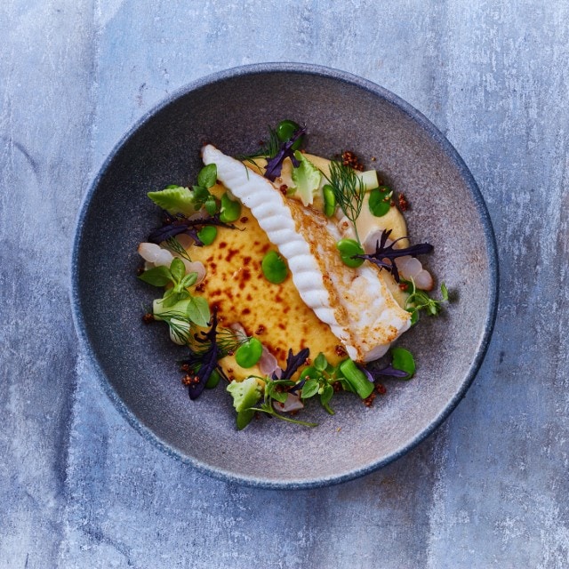 2. The best lighting for food photography 2. The best lighting for food photography