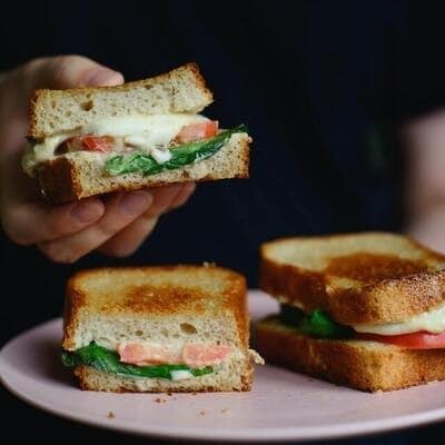 toasted sandwich toasted sandwich