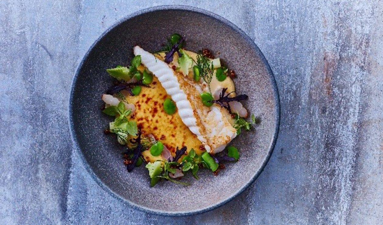 Fried Monk Fish with White Wine Cream Sauce – - Recipe