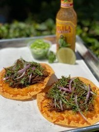 BBQ Beef Tostadas
