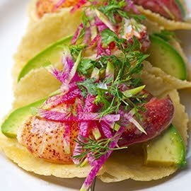 Lobster Tacos with Cotija Lime Mayonnaise Lobster Tacos with Cotija Lime Mayonnaise