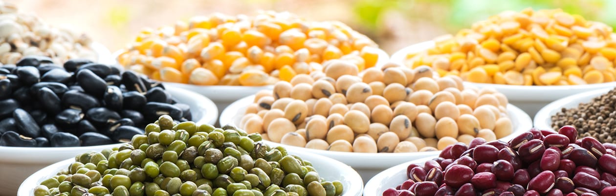 Food Traditions: The Original Cuisine of Indigenous America